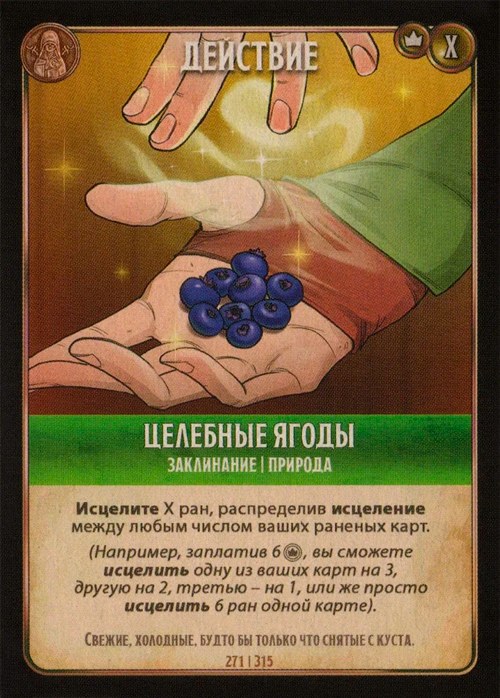 Целебные ягоды