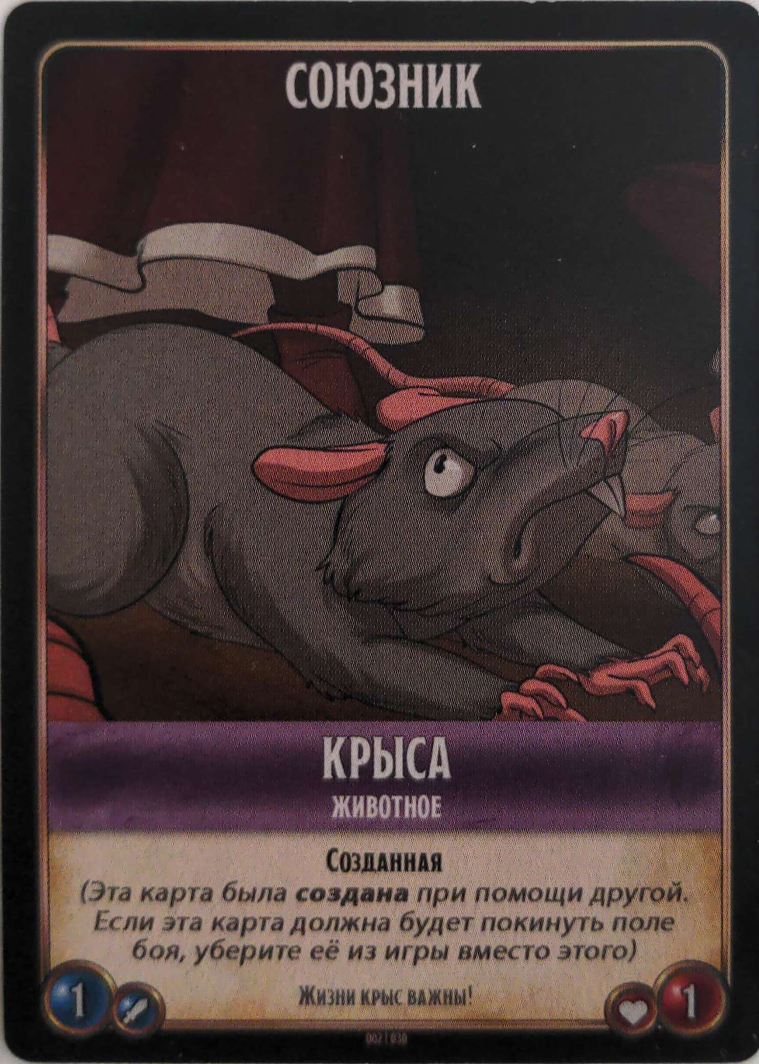 Крыса